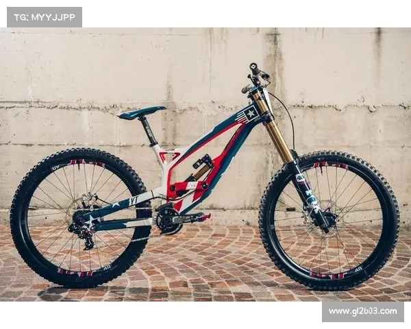 afp赛事中心年终积分盘点全面回顾赛事表现